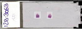 thumbnail1